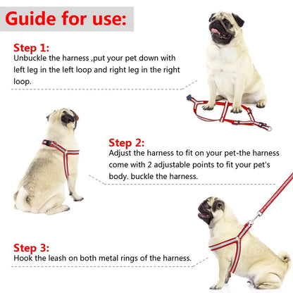 Dog Leash Set